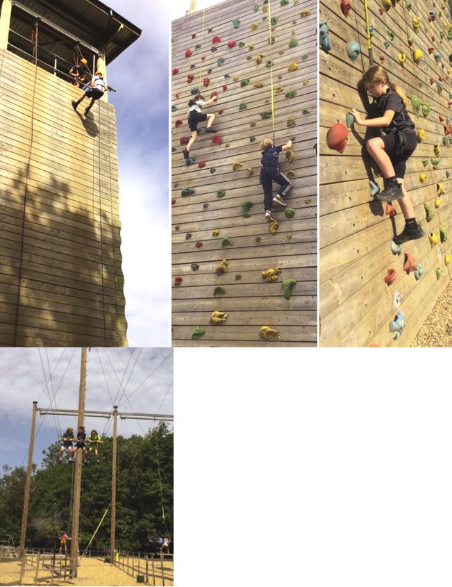 A collage of children climbing a wall

Description automatically generated