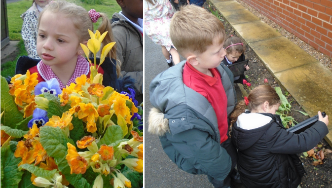 A collage of children holding flowers

Description automatically generated