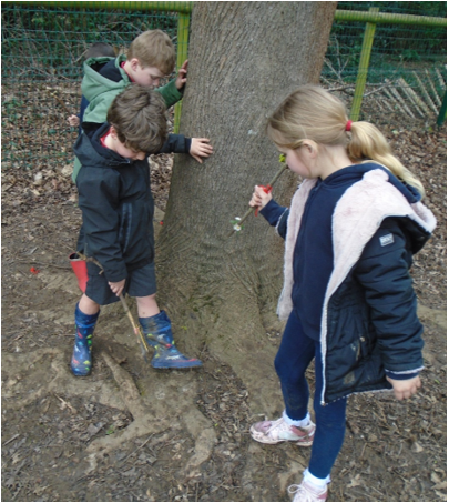 A group of children playing around a tree

Description automatically generated