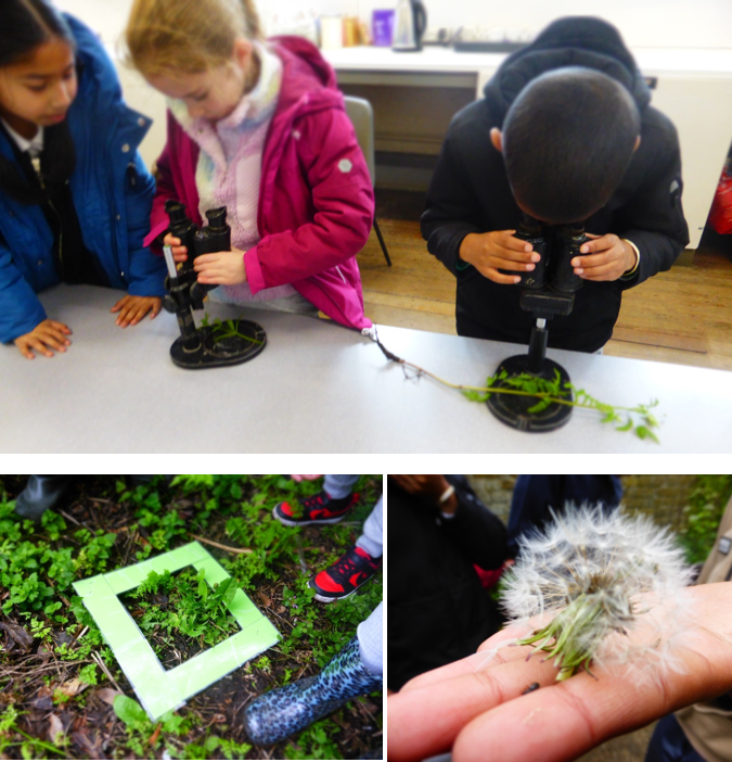 A group of kids looking through a microscope

Description automatically generated