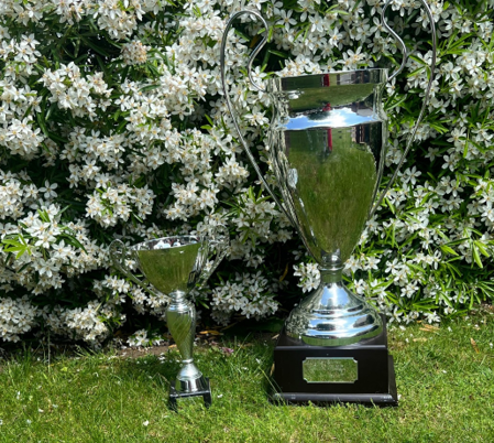 A silver trophy cups on grass

Description automatically generated