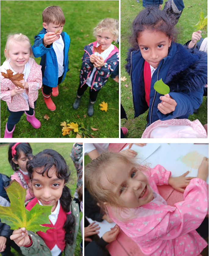 A group of children holding leaves

Description automatically generated